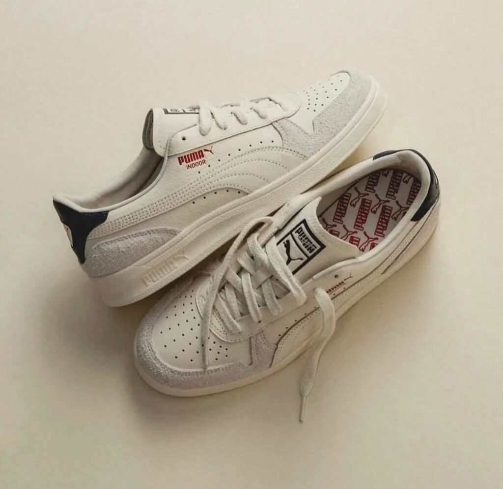 Puma indoor